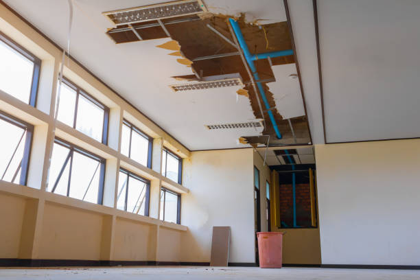 Best Water damage contractors near me  in West Buechel, KY