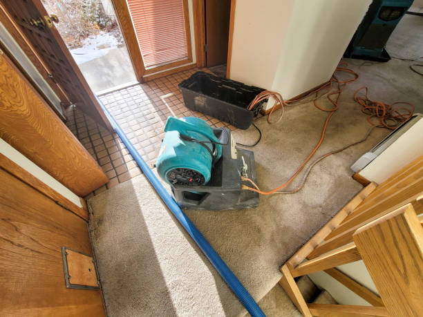 Best Commercial water damage restoration  in West Buechel, KY