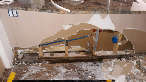 Best Flooded house restoration  in West Buechel, KY