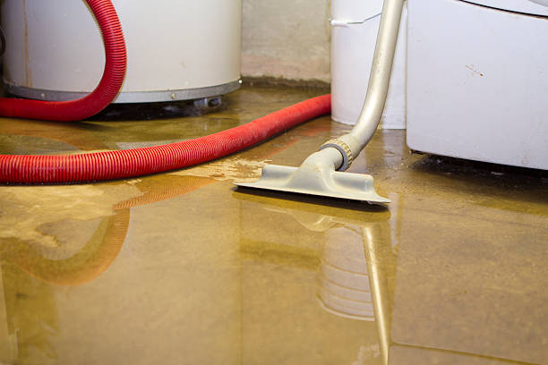 Best Flood restoration services  in West Buechel, KY