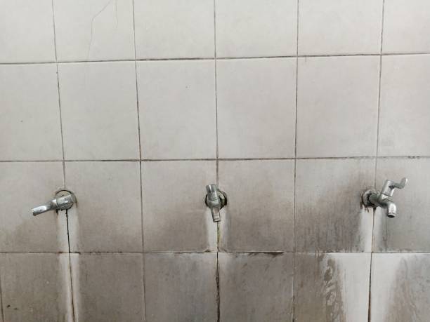 Best Ceiling water damage repair  in West Buechel, KY