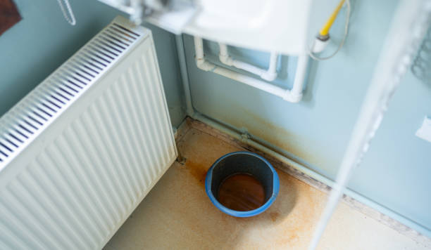 Best Professional water damage repair  in West Buechel, KY